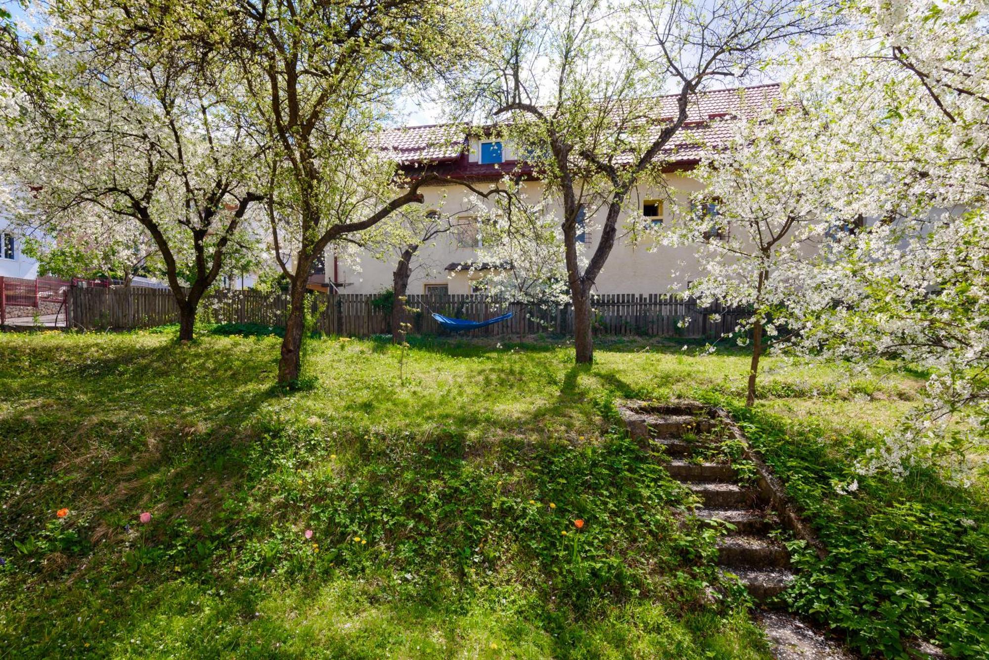 Casa Cu Cires Brasov公寓 外观 照片