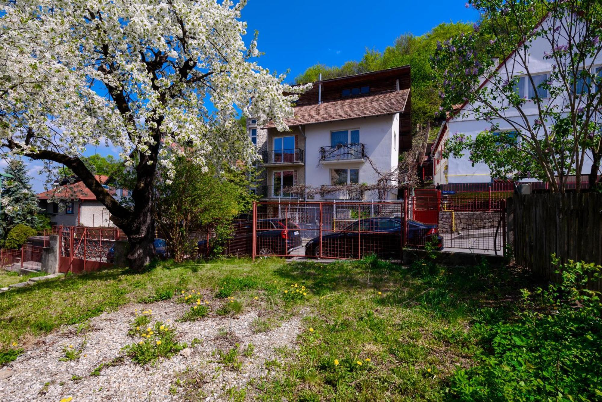 Casa Cu Cires Brasov公寓 外观 照片